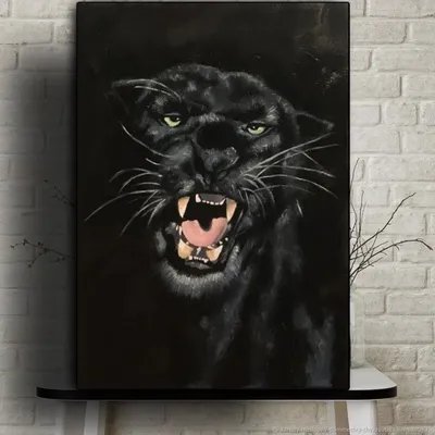 черная пантера стоковое изображение. изображение насчитывающей черный -  2337249