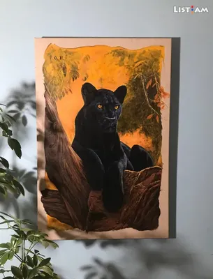 Черная Panther — стоковые фотографии и другие картинки Чёрная пантера - Чёрная  пантера, Леопард, Чёрный цвет - iStock