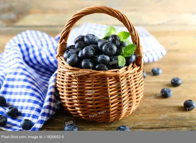Спелые синие ягоды черники на открытой ладони Stock Photo | Adobe Stock