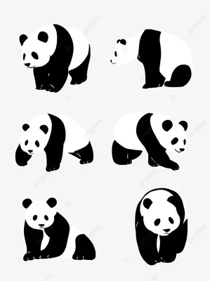 Мультфильм вектор черно-белые животные Stock Illustration | Adobe Stock