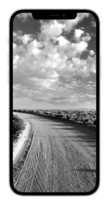 Заставки на телефон черно белые - 73 фото