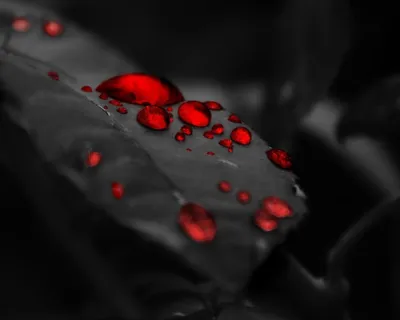 Черно красные обои Минимализм - 32 фото