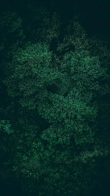 Заставка матрица :: темно-зеленый фон…» — создано в Шедевруме