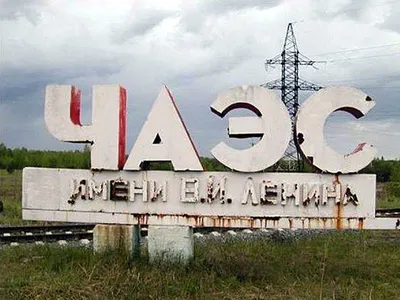 Животные Чернобыля. Как им сейчас живется? | Заметки зооработника | Дзен