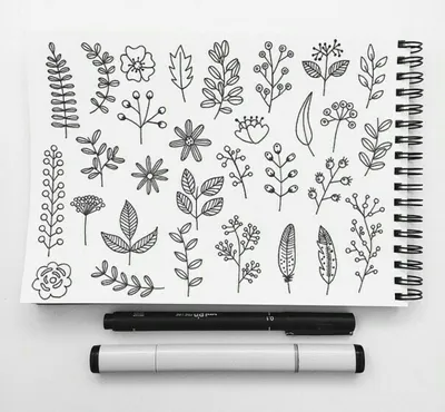 Рисунки ручкой для срисовки (63 фото)