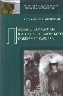 Доклад о природе Черноморского …» — создано в Шедевруме