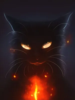 Чёрные кошки почти не заметны в темноте — Фотографии на аву | Черная кошка,  Кошки, Животные