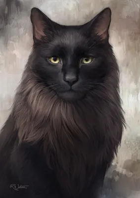 Чёрный кот | Cats, Animals, Art