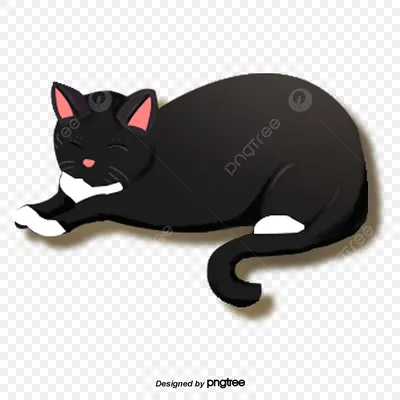 Sqwore – Черный кот (Black Cat) Lyrics | Genius Lyrics