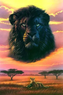 Зоологический форум / Лев (Panthera leo) 2
