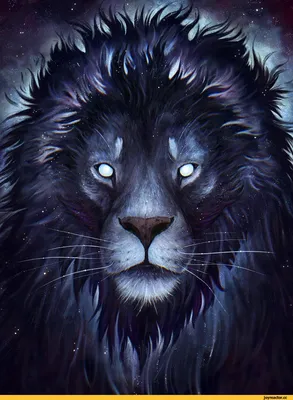 Пазл «Черный лев» из 150 элементов | Собрать онлайн пазл №242895