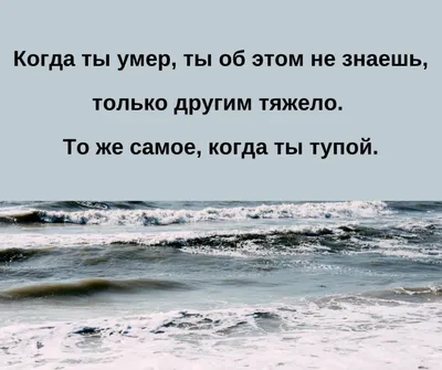 Чувство черного юмора как ноги, у кого-то есть, а у кого-то нет. Так в чем  же причина его отсутствия и непонимания?» — Яндекс Кью