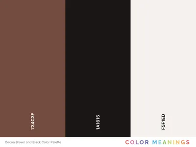 Understanding the Color Black and Its Shades | Nova Color