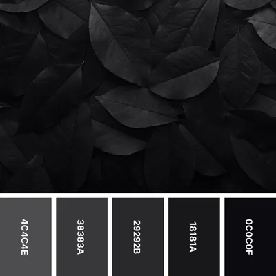 31 Dark Color Palettes for Dramatic Designs - Color Meanings