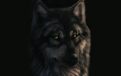 Брутальный волк на чёрном фоне - обои на телефон