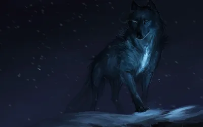 Черный волк в заснеженном лесу. Обои с животными, картинки, фото 1024x768