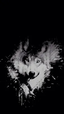 Dog Horse Arctic wolf Обои Чёрный волк, Пес, лошадь, животные, домашнее  животное png | PNGWing