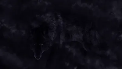 Фото Черный волк с красными глазами (AZAZEL), by Areot