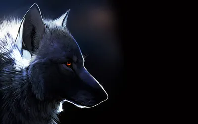 Волк с голубыми глазами обои | Премиум Фото