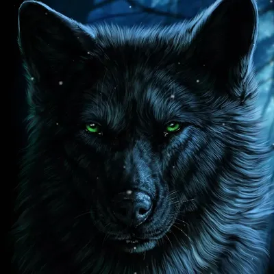 Серый волк аниме черный волк черный и белый, синий волк, млекопитающее,  кошка, как млекопитающее png | PNGWing
