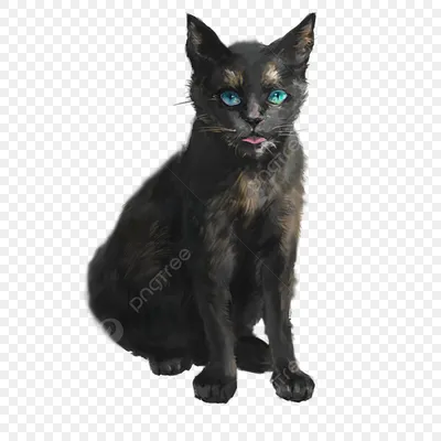 голубые глаза чёрные котята PNG , животное, домашние питомцы, домашняя кошка  PNG картинки и пнг PSD рисунок для бесплатной загрузки