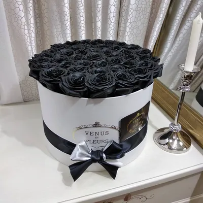 Черные розы 25 шт. купить с доставкой в Москве. Цена от 6250 ₽