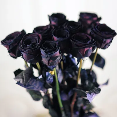 Купить букет из 11 черных роз в Омске