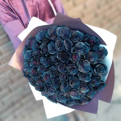 Чёрные розы | Журнал Розмари | Дзен