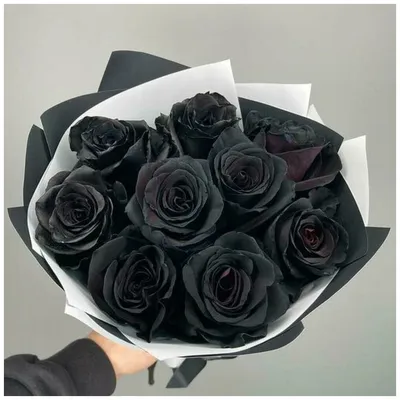 Три чёрные розы» — создано в Шедевруме