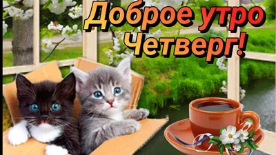 Открытки доброе утро четверг открытка чудесного четверга...