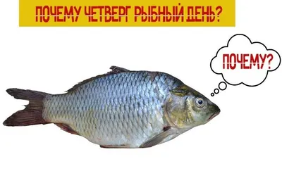 Четверг рыбный день? - ЯПлакалъ