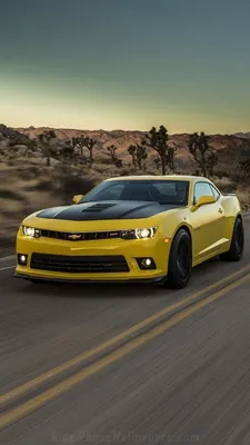 Chevrolet camaro