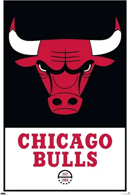 200+] Chicago Bulls Wallpapers | Wallpapers.com