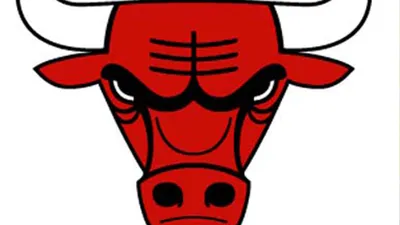 You'd need to be a genius to spot the secret optical illusion hidden in the  Chicago Bulls NBA logo - and there's a twist | The US Sun