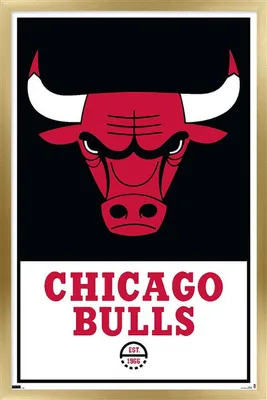 City Edition 2023-24 | Chicago Bulls