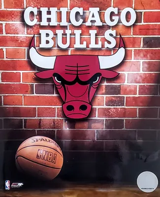 Chicago Bulls Pendant – The GLD Shop