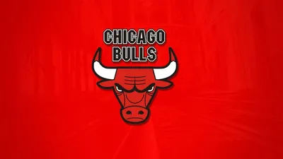 Chicago Bulls logo NBA Vinyl Decal Window Laptop Any Size Any Color | eBay