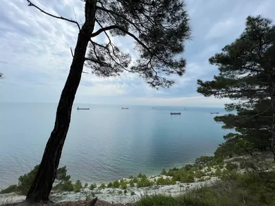 Черное море - красивые картинки (72 фото)