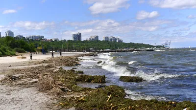 Картинки черное море - 80 фото