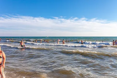 Эксперты: Стоит ли ехать на Черное море и купаться в нем - Gagauziya Radio  Televizionu
