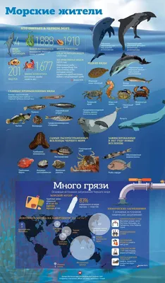 Пляжи Черного моря 2024: лучшие места с фото, отзывами, ценами, названиями  и описаниями