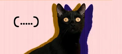 черные коты стоковое фото. изображение насчитывающей друзья - 41666628