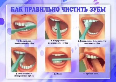 Как правильно чистить зубы? | Stomas