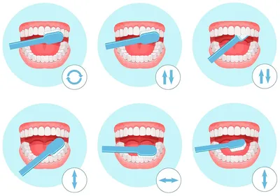 Как правильно чистить зубы: сколько раз в день, чем лучше чистить зубы