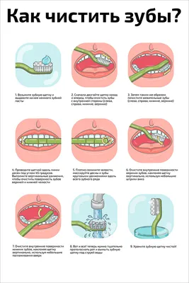Плакат обучающий А1 ламинир. Как правильно чистить зубы 610x914 мм - купить  с доставкой по выгодным ценам в интернет-магазине OZON (340819605)