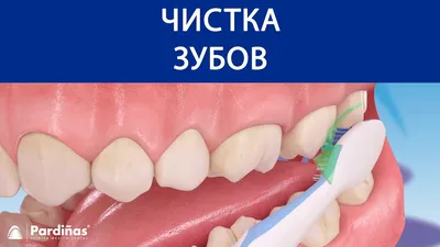 Что будет, если не чистить зубы месяц? | МИР НАУКИ: интересное вокруг | Дзен