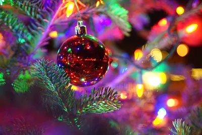 Christmas Colors: History and Meaning Behind Red, Green, Gold, White and  Purple