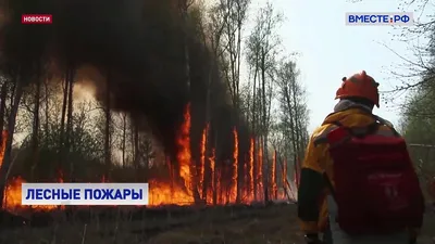 В Якутии ввели режим ЧС из-за распространения лесных пожаров на села — РБК