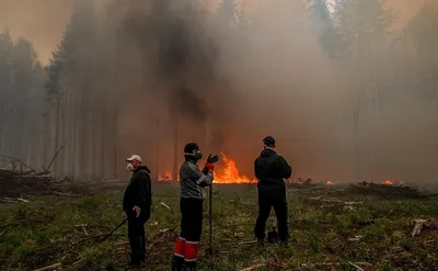 В Якутии ввели режим ЧС из-за лесных пожаров — РБК