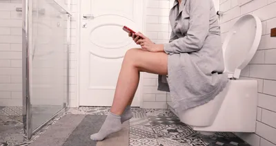Почему нельзя долго сидеть в туалете — три пугающие причины - Hi-News.ru